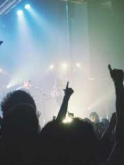 The Best Little Body